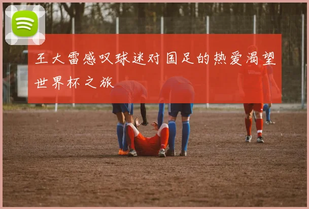 王大雷感叹球迷对国足的热爱渴望世界杯之旅